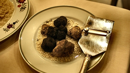 Reconnaître les différentes variétés de truffe